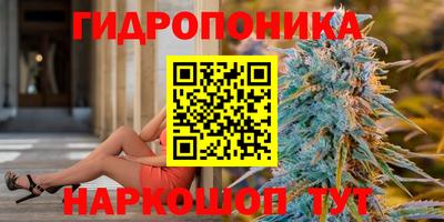 гидра Краснокаменск