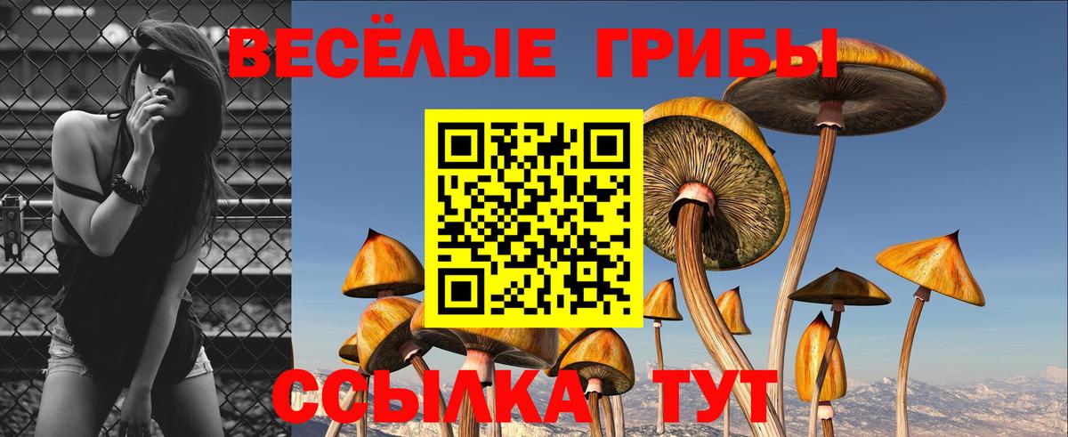 Псилоцибиновые грибы ЛСД  Вход с VPN  Десногорск 